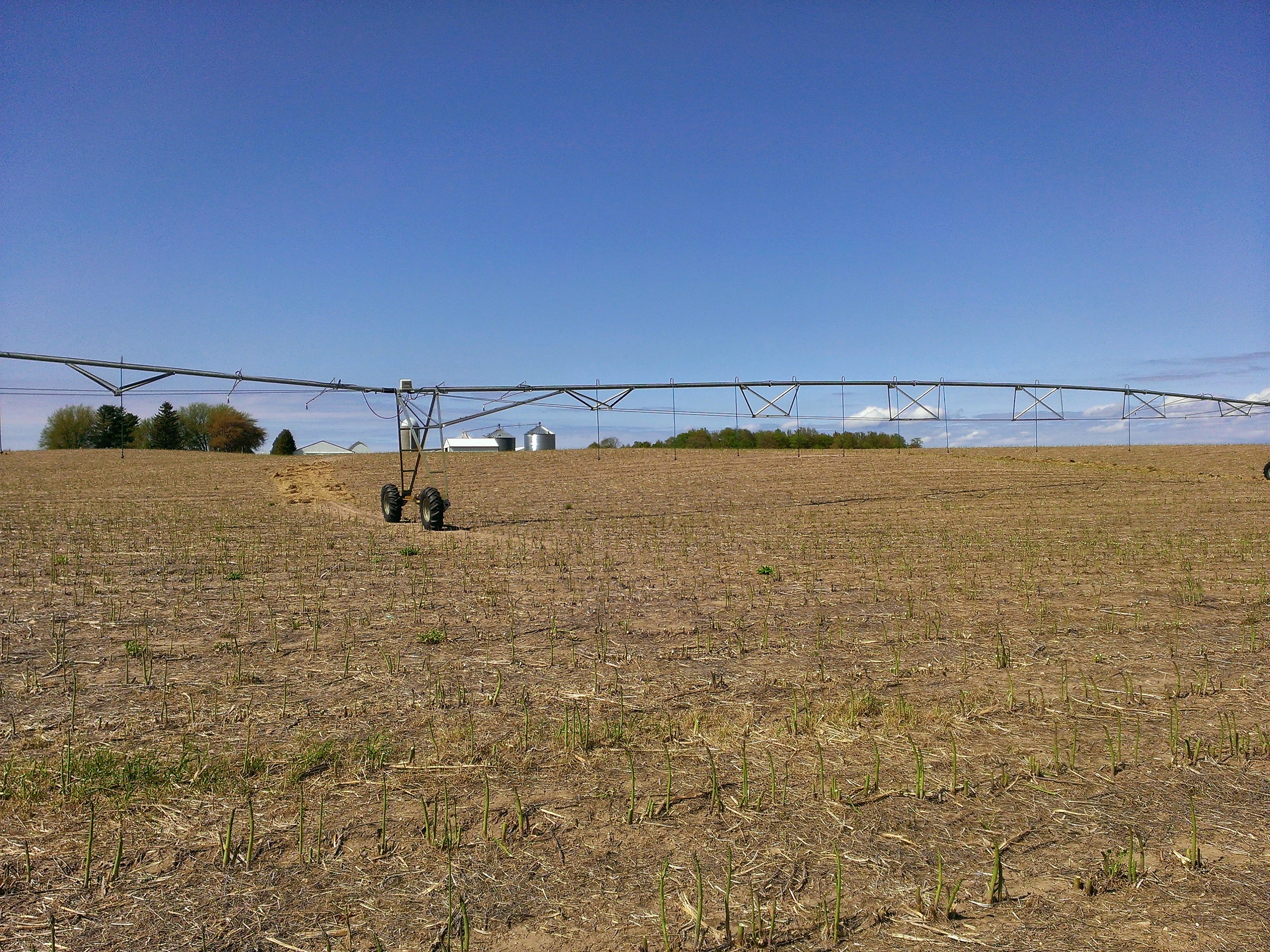 Pivot in asparagus